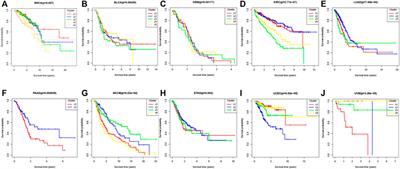 SADLN: Self-attention based deep learning network of integrating multi-omics data for cancer subtype recognition